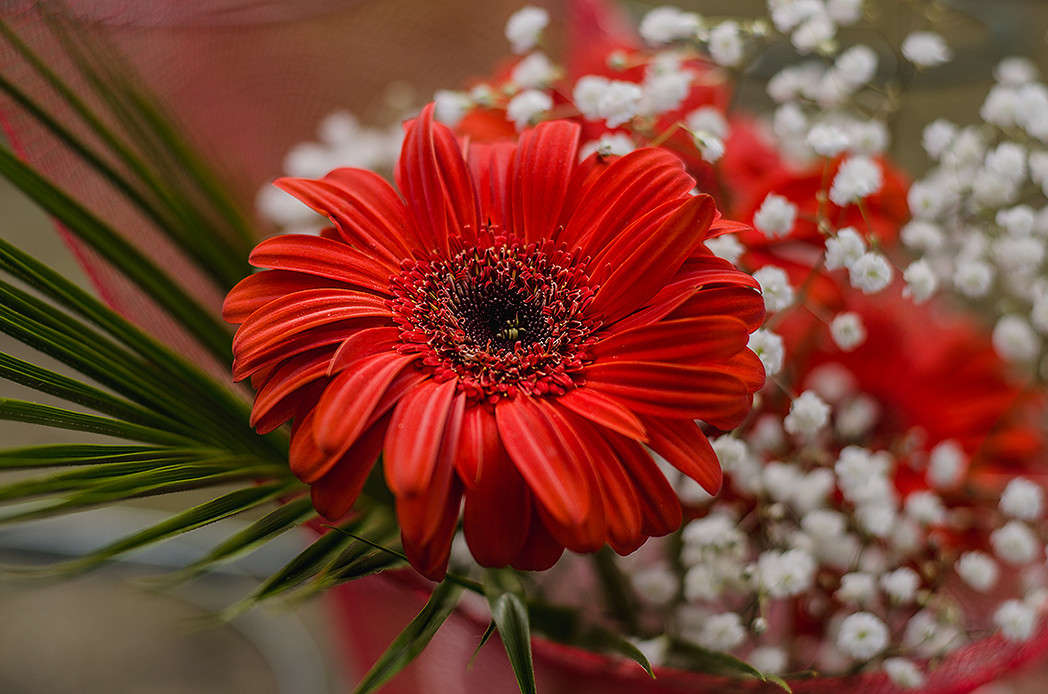 ������� ����� ������ ���������� �� PhotoGeek.ru #������ ��� ������� #���������