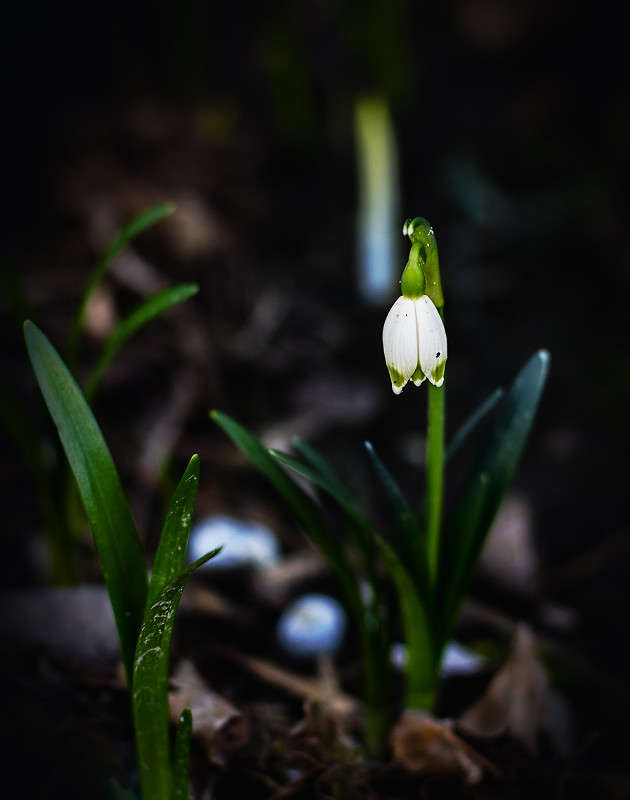 � ���� ����� ������ ���������� �� PhotoGeek.ru #������ ��� ������� #���������