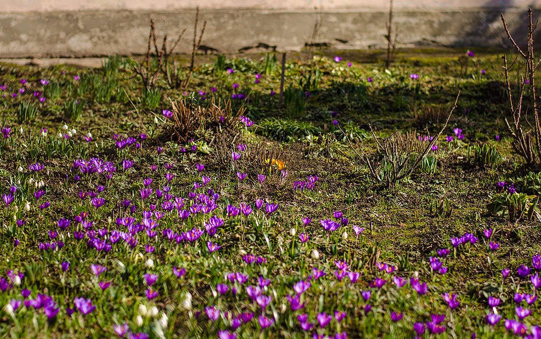 ��������� ���� �������� ����� ������ ���������� �� PhotoGeek.ru #������ ��� ������� #���������