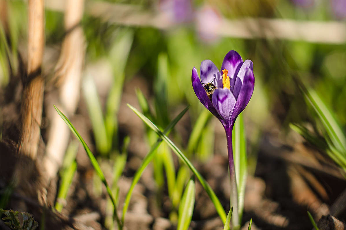 �������� ����� ������ ���������� �� PhotoGeek.ru #������ ��� ������� #���������