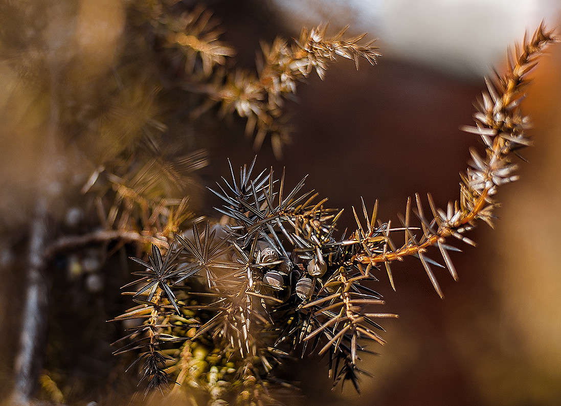 ����������� ����� ������ ���������� �� PhotoGeek.ru #������ ��� ������� #���������