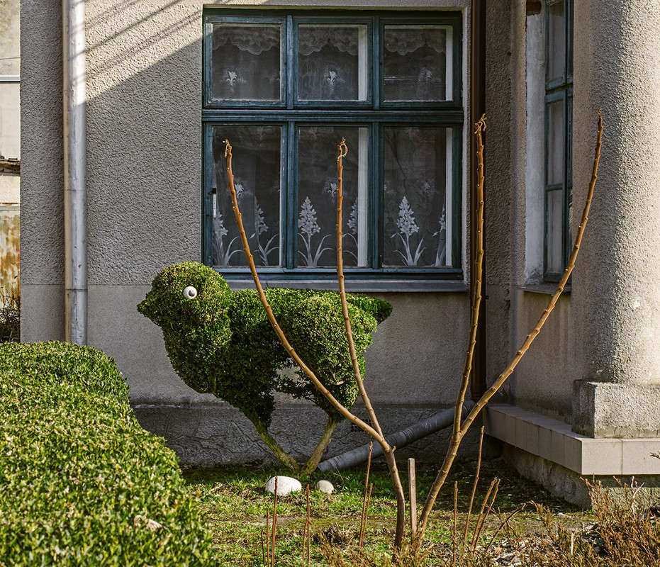 ����������� ������ ����� ������ ���������� �� PhotoGeek.ru #�������� ���������� #���������������