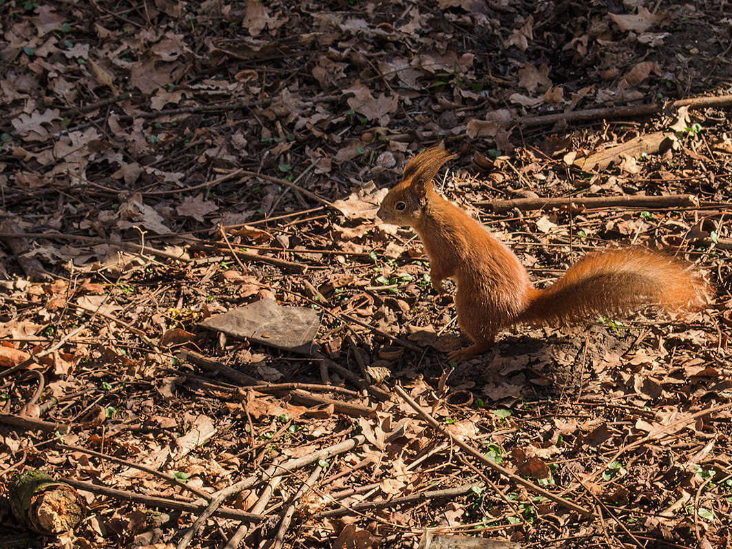 ��������� ����� ������ ���������� �� PhotoGeek.ru #�������� ��� #����� ��� ��� ���������