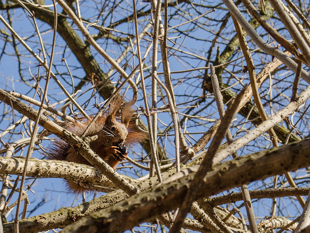 ����� ������ �������� ����� ������ ���������� �� PhotoGeek.ru #�������� ��� #����� ��� ��� ���������