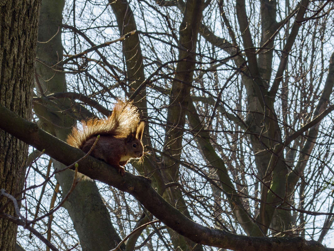 ������ ����������� ����� ������ ���������� �� PhotoGeek.ru #�������� ��� #������ ��� ������� #����� ��� ��� ���������