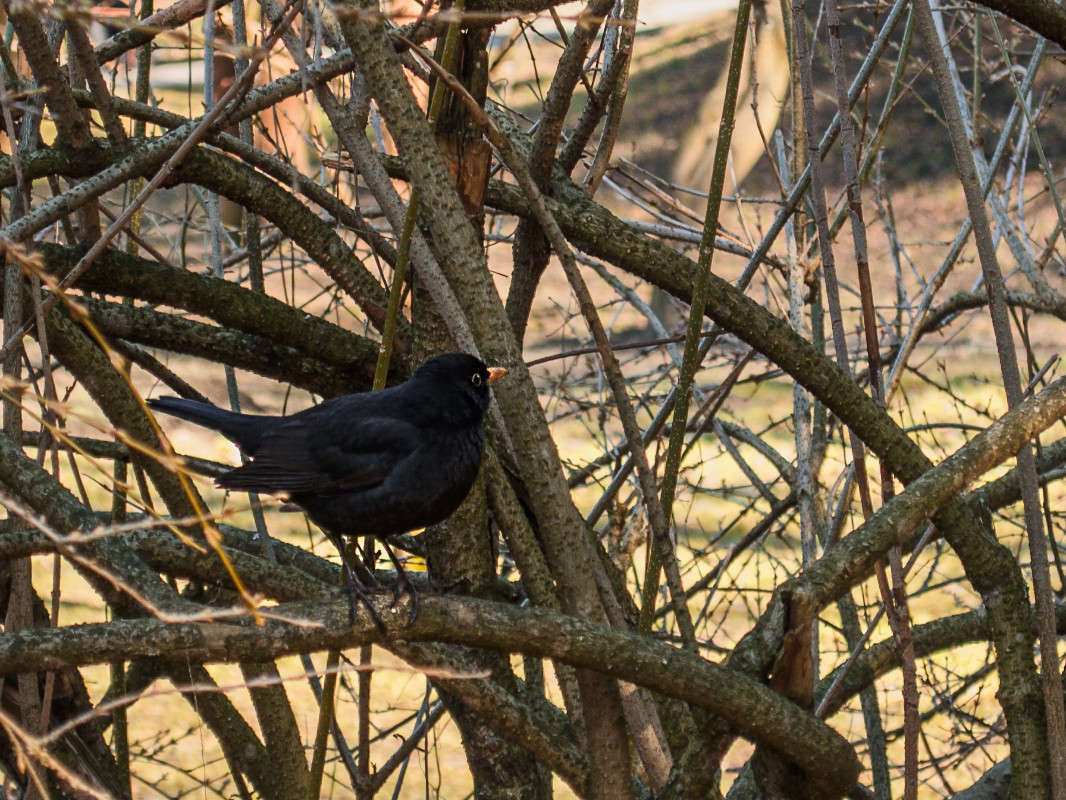 ��� ����� ��� ������, �� ������ ��� �� ? ����� ������ ���������� �� PhotoGeek.ru #�������� ��� #������ ��� ������� #����� ��� ��� ���������