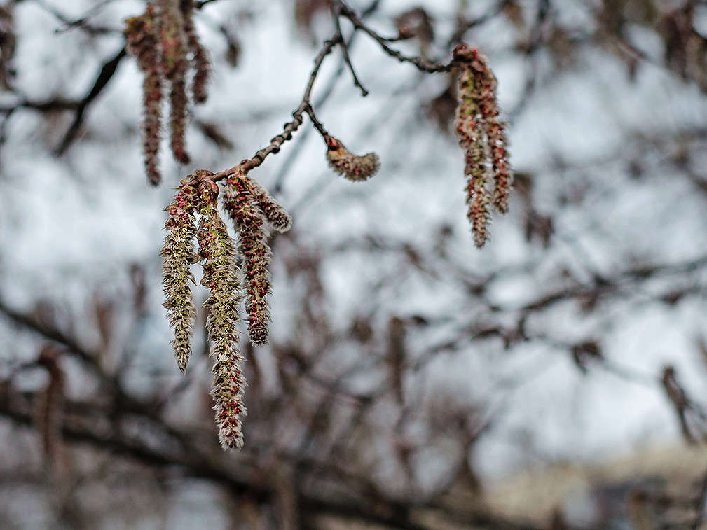 ����� �������..... ����� ������ ���������� �� PhotoGeek.ru #������ ��� ������� #���������