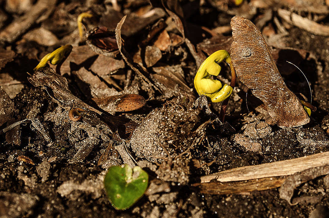 ���� ������ ����� ������ ���������� �� PhotoGeek.ru #������ ��� ������� #���������