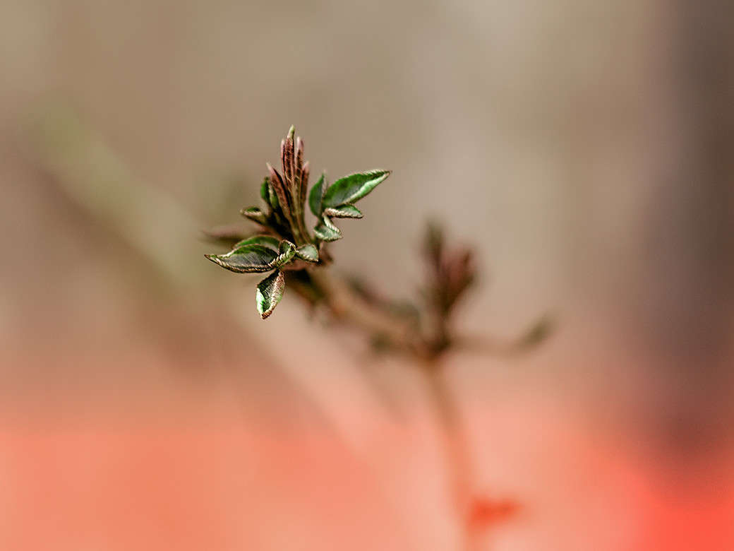 ������ ����� ������ ���������� �� PhotoGeek.ru #������ ��� ������� #���������