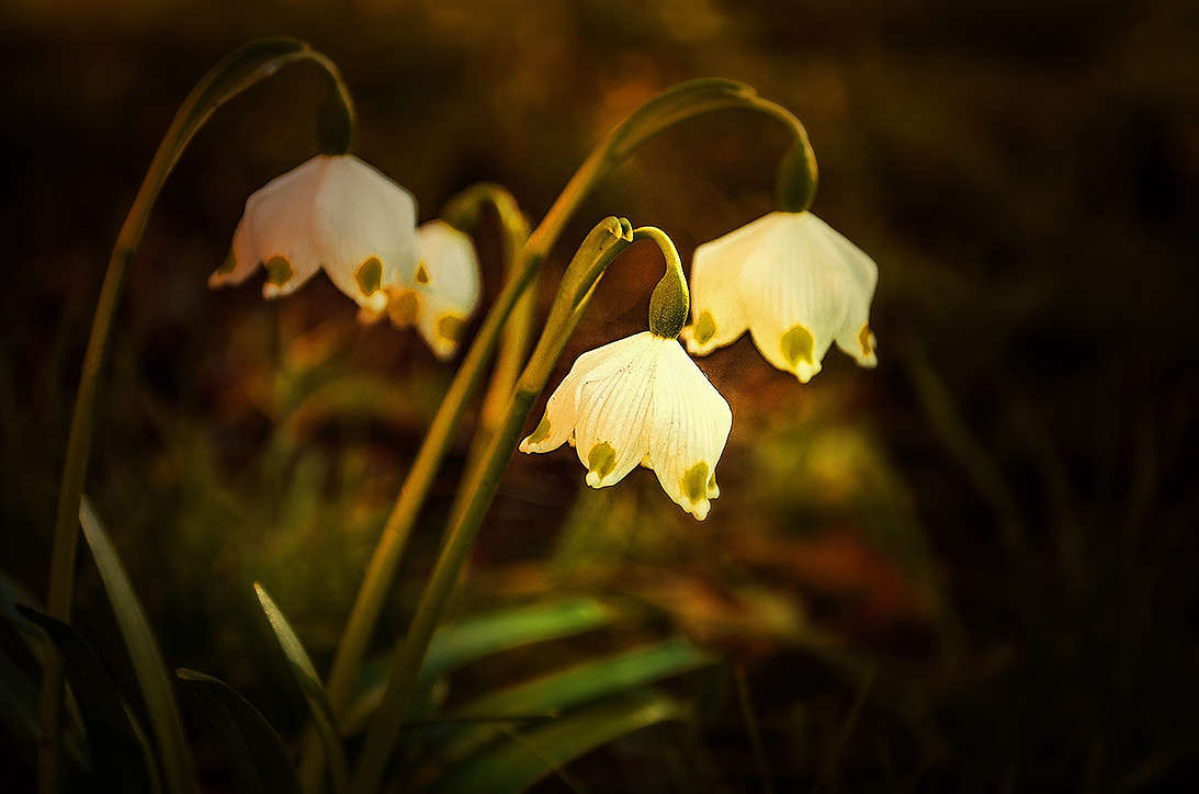 �������� ����� ������ ���������� �� PhotoGeek.ru #������ ��� ������� #���������