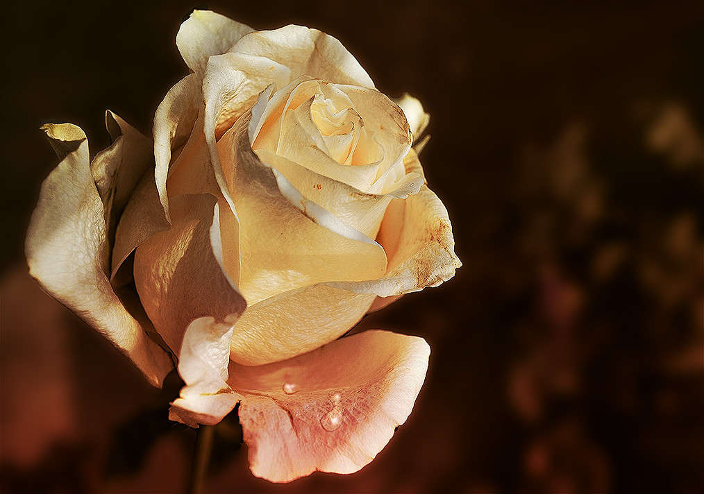 ... ����� ������ ���������� �� PhotoGeek.ru #������ ��� ������� #���������