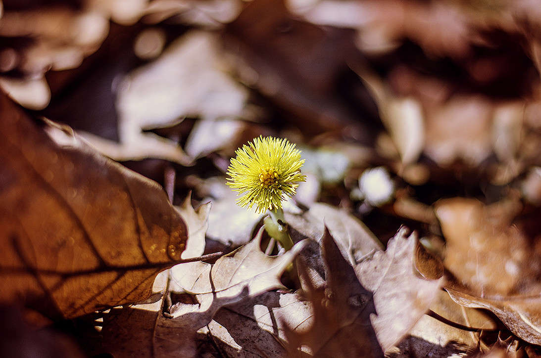 �������� �� �������� ����� ������ ���������� �� PhotoGeek.ru #������ ��� ������� #���������