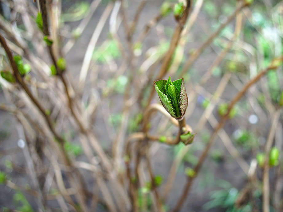 ����� ����� ������ ���������� �� PhotoGeek.ru #������ ��� ������� #���������