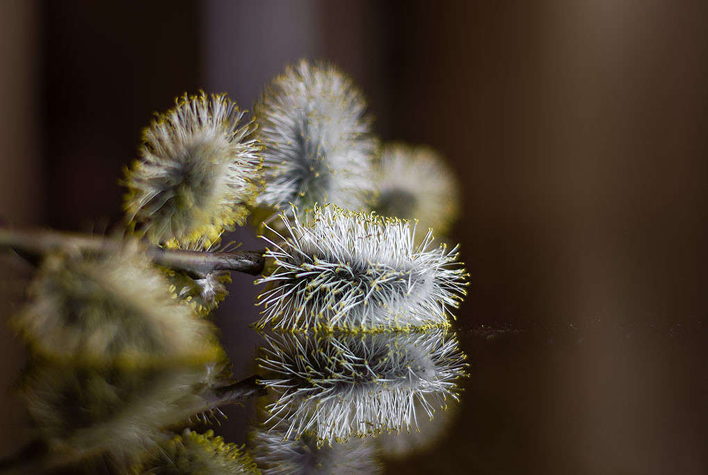 ... ����� ������ ���������� �� PhotoGeek.ru #������ ��� ������� #������