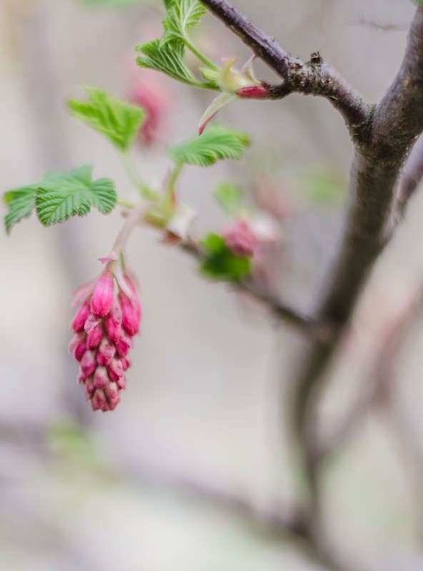 �����!!!!!!������! ����� ������ ���������� �� PhotoGeek.ru #������ ��� ������� #���������