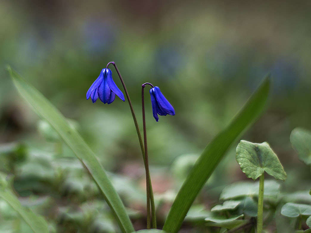 ��� ��� ������! ����� ������ ���������� �� PhotoGeek.ru #������ ��� ������� #��������� #������