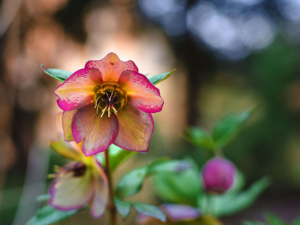 ������� ������! ����� ������ ���������� �� PhotoGeek.ru #������ ��� ������� #���������