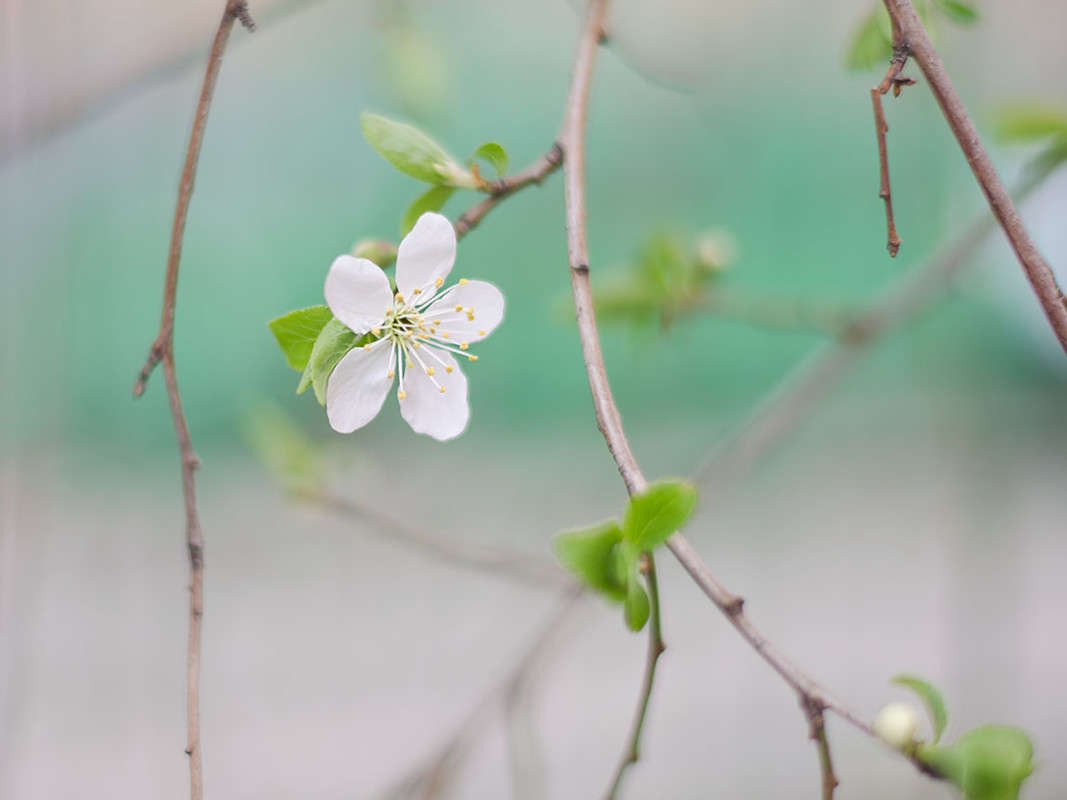 ����� ���� ������! ����� ������ ���������� �� PhotoGeek.ru #������ ��� ������� #���������