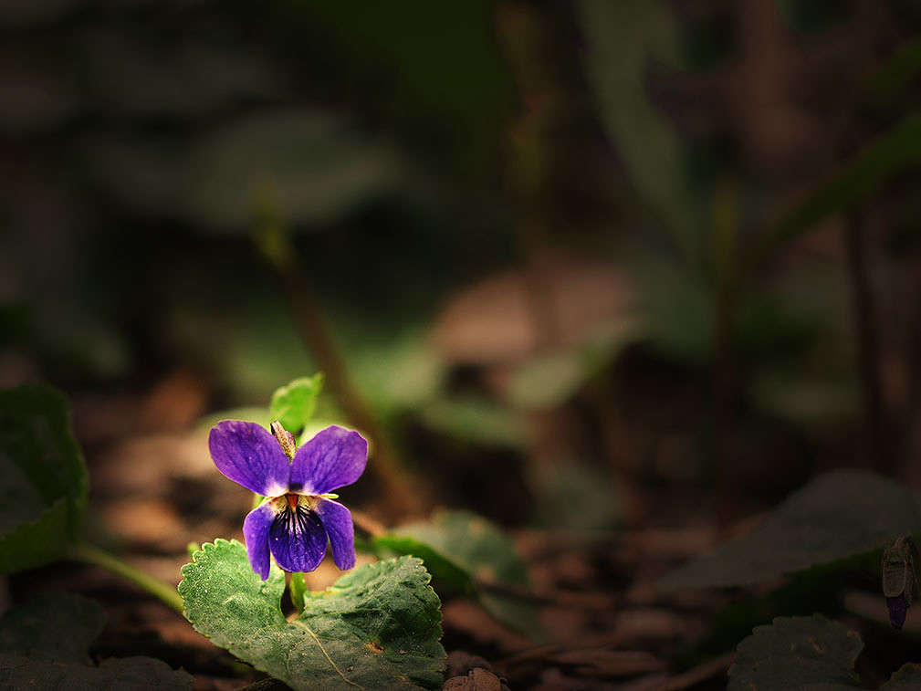 )))))) ����� ������ ���������� �� PhotoGeek.ru #������ ��� ������� #���������