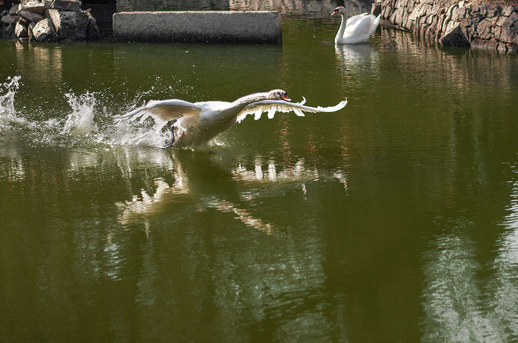 �� ����� ����� ������ ���������� �� PhotoGeek.ru #�������� ��� #������ ��� ������� #����� ��� ��� ���������