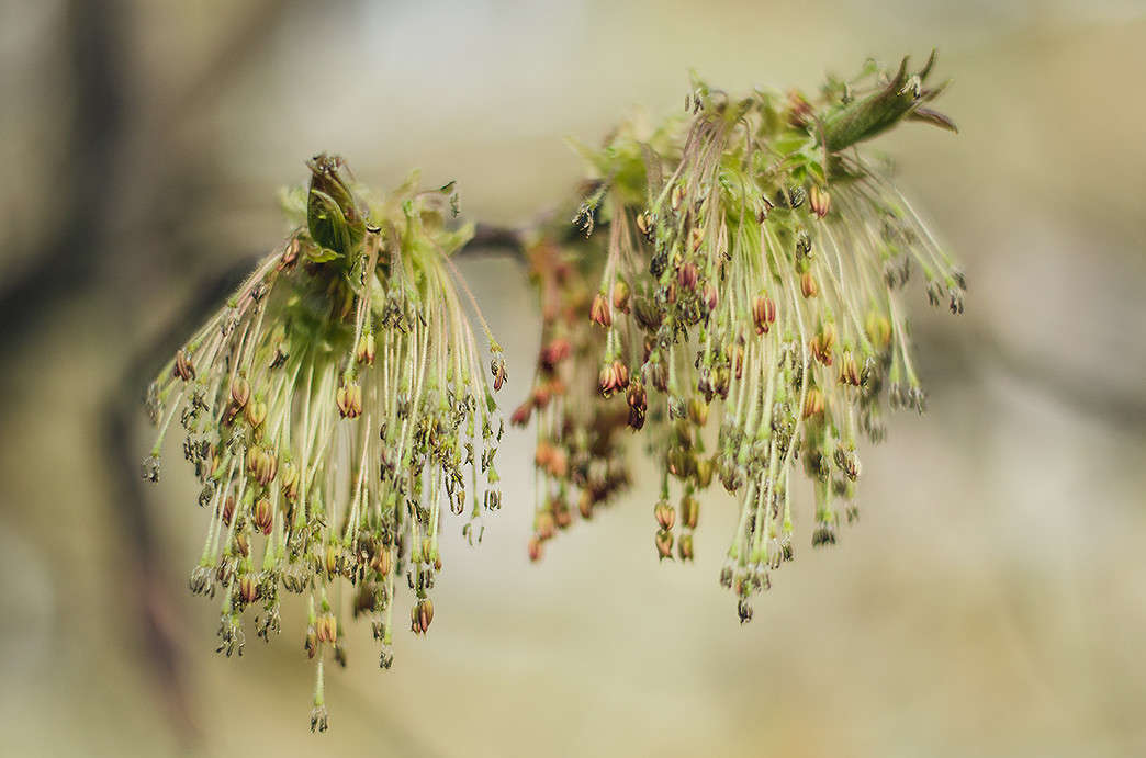 ��� ������ ����� ������ ���������� �� PhotoGeek.ru #������ ��� �������