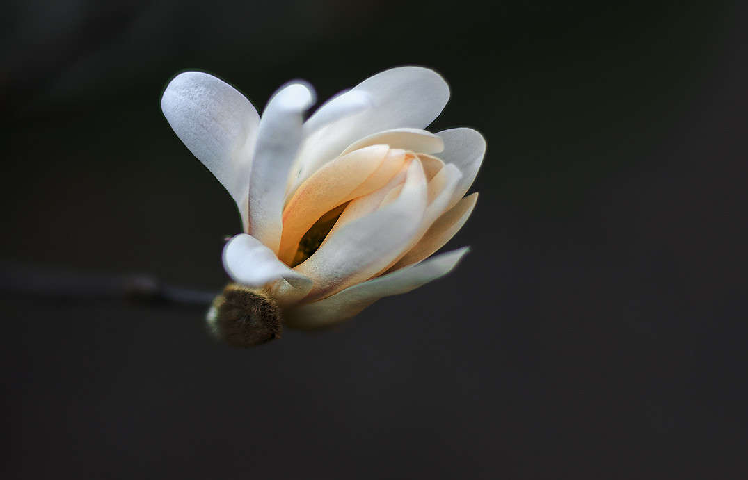 �������� ����� ������ ���������� �� PhotoGeek.ru #������ ��� ������� #���������