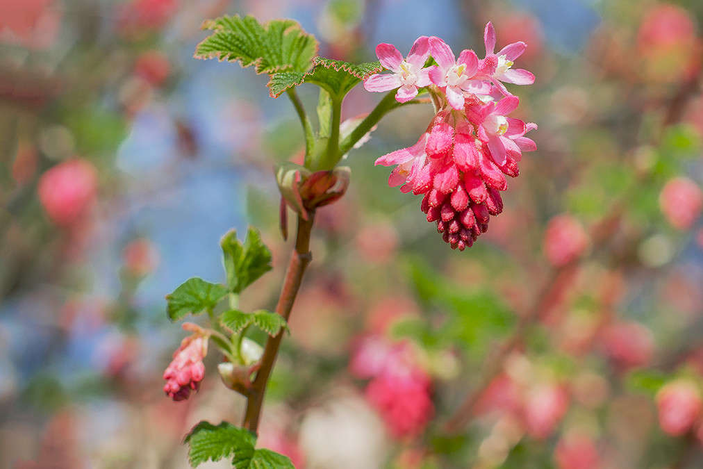 ������ �������-������� ����� ������ ���������� �� PhotoGeek.ru #������ ��� �������