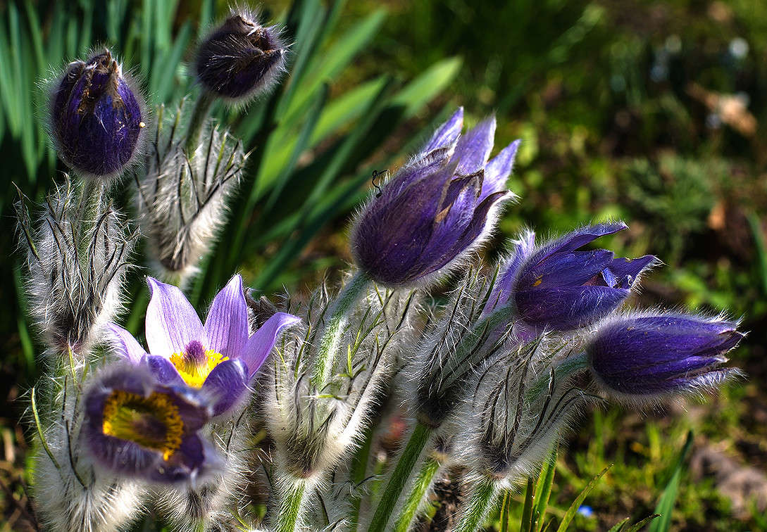 ���-����� ����� ������ ���������� �� PhotoGeek.ru #������ ��� �������