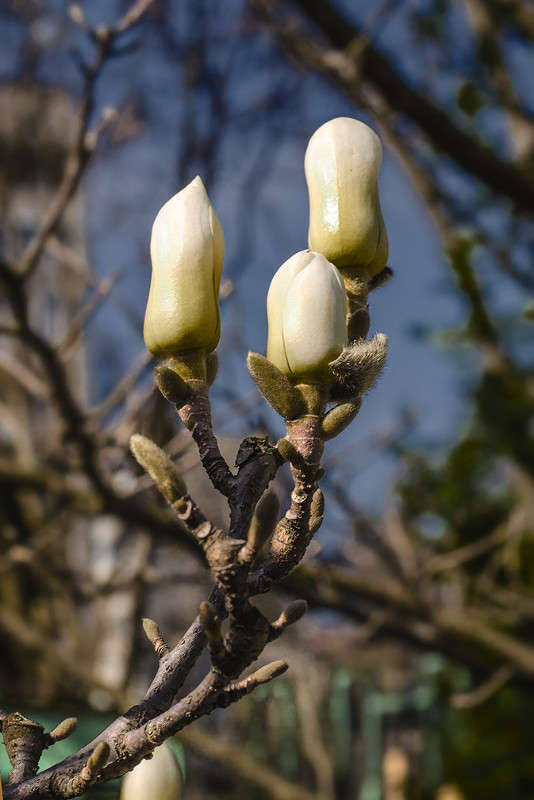 ��������. ���� ������. ����� ������ ���������� �� PhotoGeek.ru #������ ��� ������� #���������