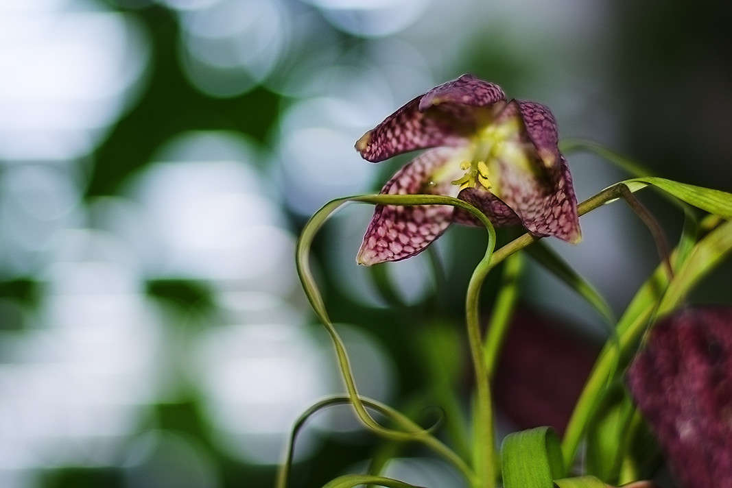 ���� ��������� ����� ������ ���������� �� PhotoGeek.ru #������ ��� ������� #����� �������������� #���������