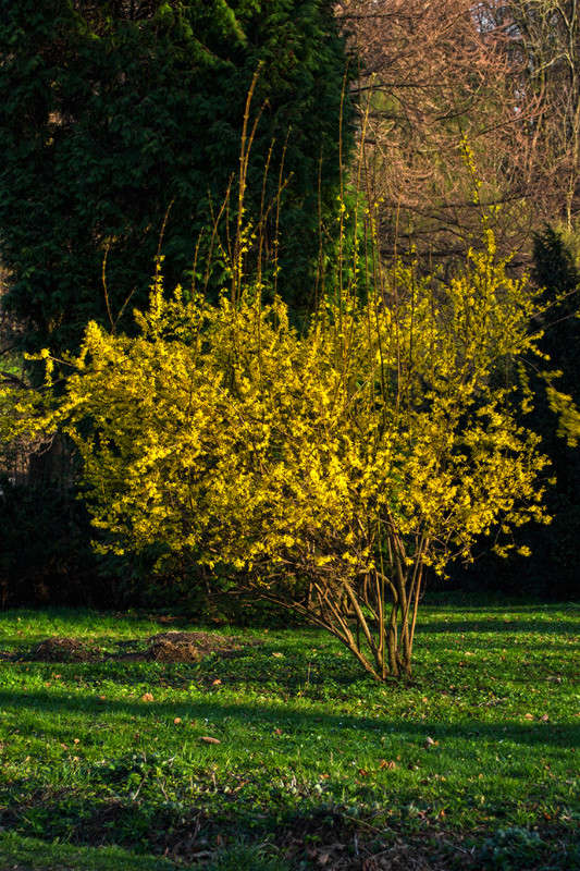 �� ������ ����� ������ ���������� �� PhotoGeek.ru #������ ��� ������� #���������