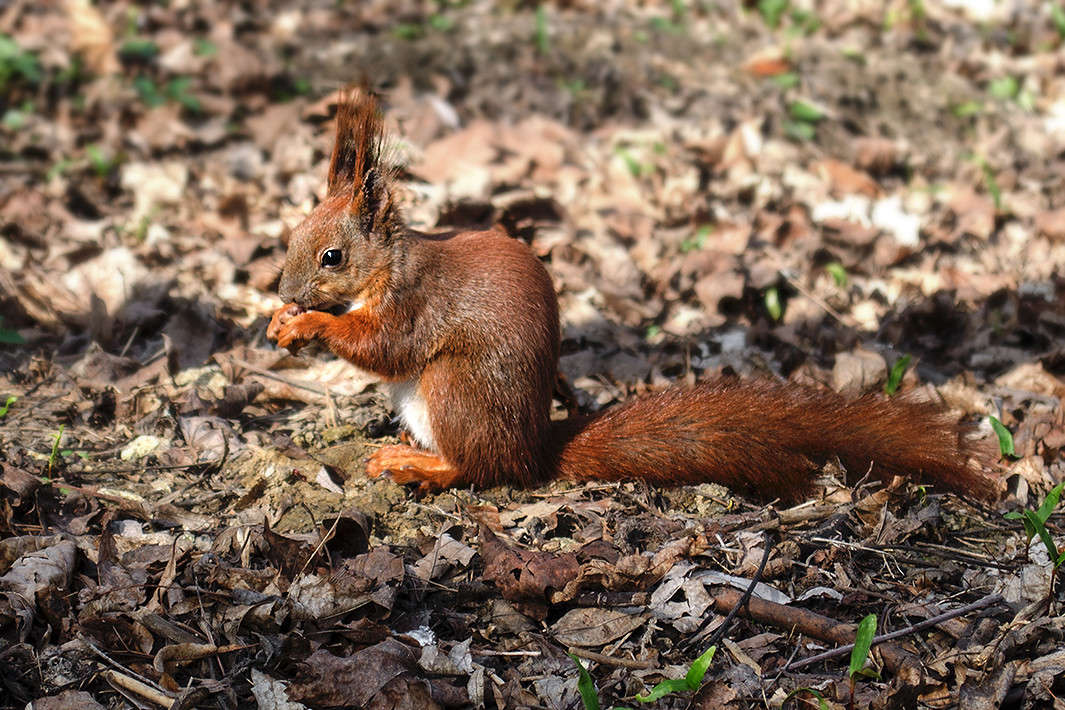 ������! ����� ������ ���������� �� PhotoGeek.ru #�������� ��� #����� ��� ��� ���������