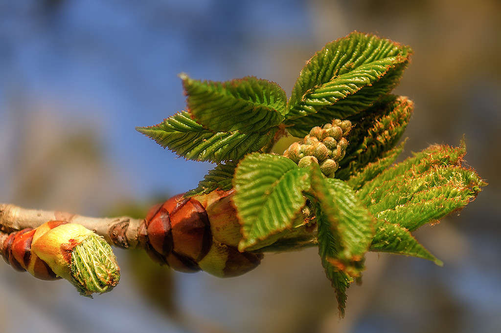 �, ����!!!!!! ����� ������ ���������� �� PhotoGeek.ru #������ ��� ������� #���������