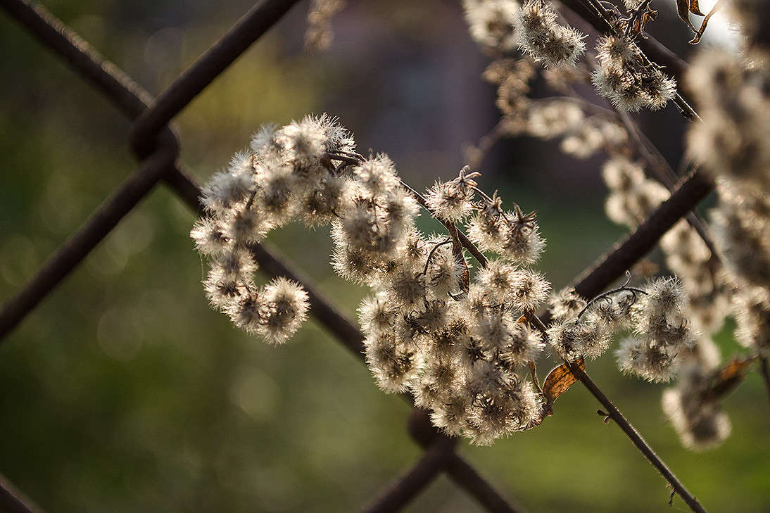 ���� ���������� ����� ������ ���������� �� PhotoGeek.ru #������ ��� ������� #���������