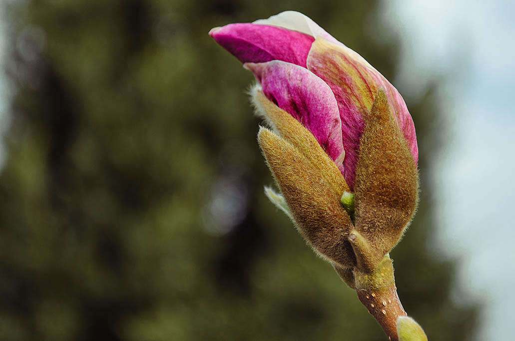 �������� ����� ������ ���������� �� PhotoGeek.ru #������ ��� ������� #���������