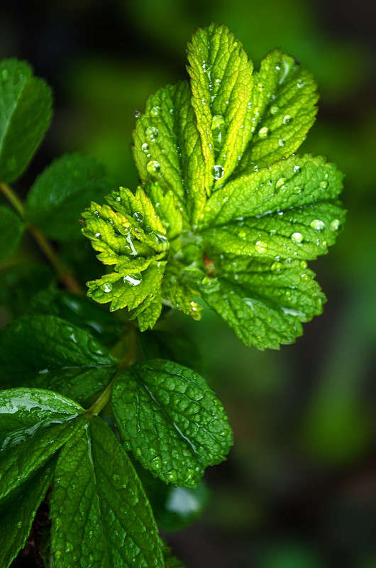 ������ ����� ������ ���������� �� PhotoGeek.ru #������ ��� ������� #���������