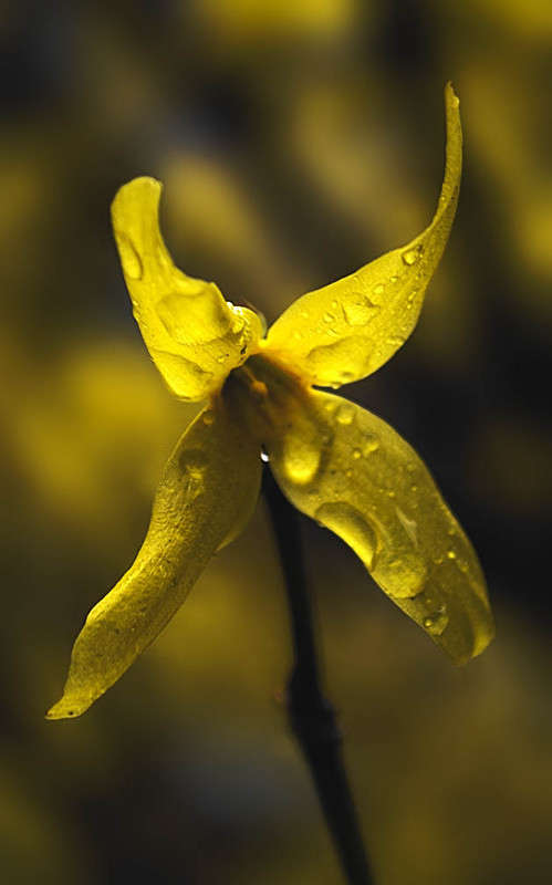 ���������� ������� ����� ������ ���������� �� PhotoGeek.ru #������ ��� ������� #���������