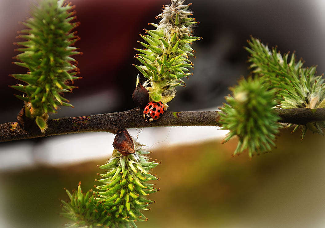 ���� ����� ������ ���������� �� PhotoGeek.ru #������ ��� ������� #���������