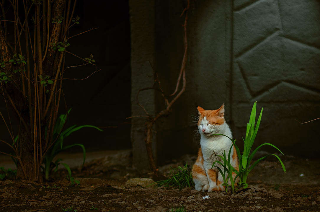 ������� ����� ������ ���������� �� PhotoGeek.ru #�������� ��� #�������� ���