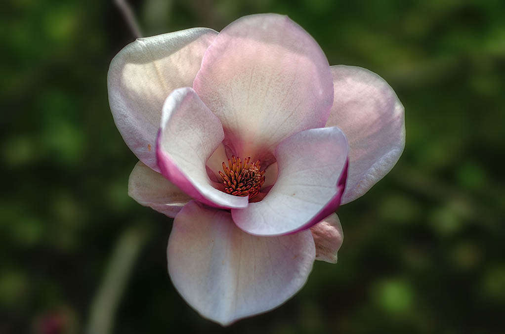 ��������. � ������ ����� ����� ������ ���������� �� PhotoGeek.ru #������ ��� ������� #���������