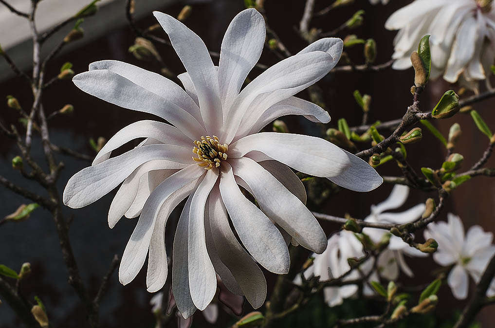 � ��� ���� ��� ��� � �� ������� ��� ����������.... ����� ������ ���������� �� PhotoGeek.ru #������ ��� ������� #���������