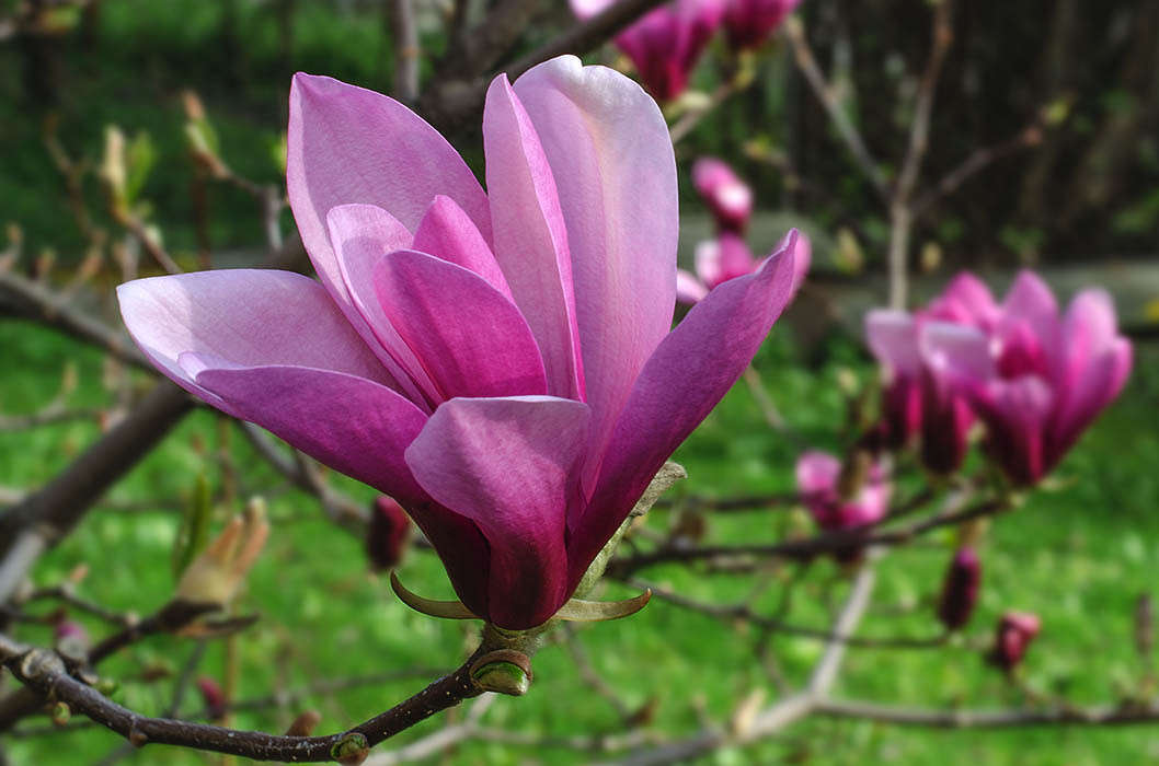 ��� ��������. ����� ������ ���������� �� PhotoGeek.ru #������ ��� ������� #���������