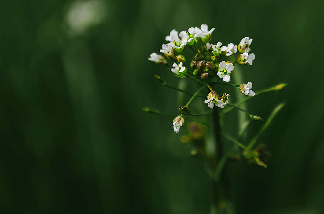 ����� ����� ������ ���������� �� PhotoGeek.ru #������ ��� ������� #���������