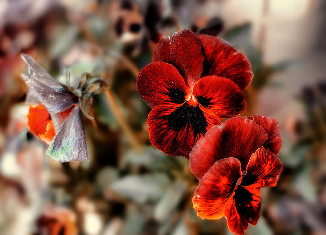 ))))) ����� ������ ���������� �� PhotoGeek.ru #������ ��� ������� #���������