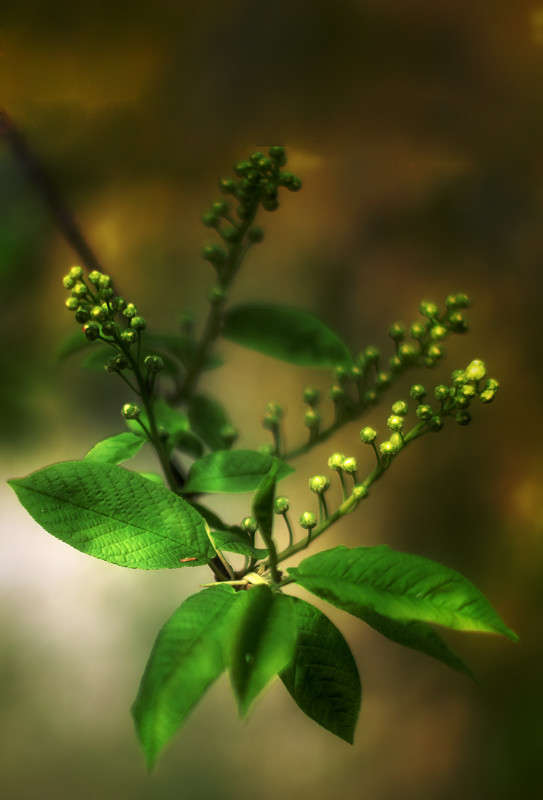 �������� ����� ������ ���������� �� PhotoGeek.ru #������ ��� ������� #���������