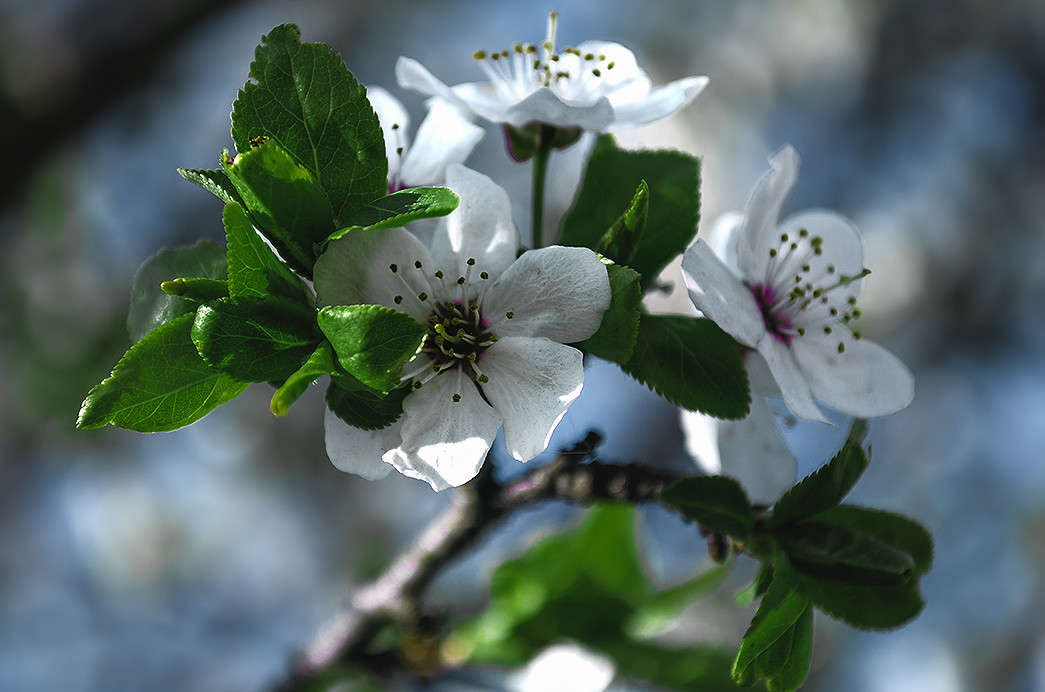 ����� ����� ������ ���������� �� PhotoGeek.ru #������ ��� ������� #���������