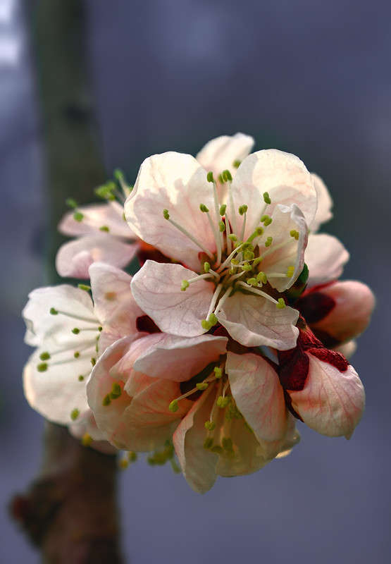 ��������� ����� ������ ���������� �� PhotoGeek.ru #������ ��� ������� #���������