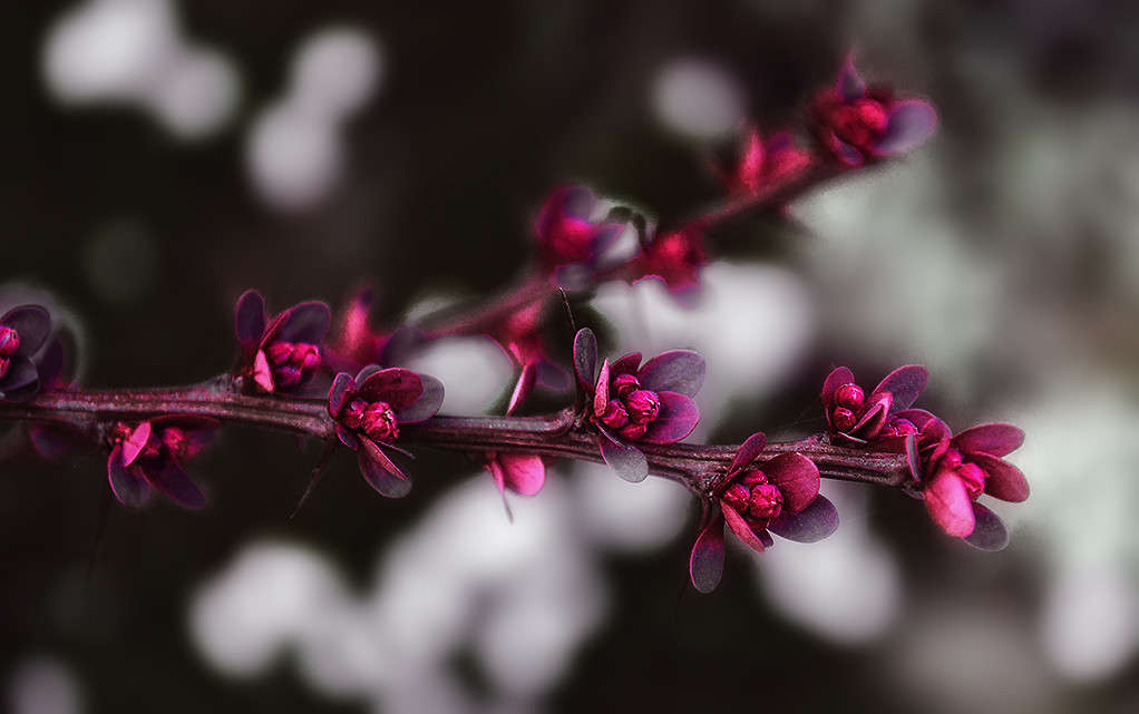 ������� ����� ������ ���������� �� PhotoGeek.ru #������ ��� ������� #���������