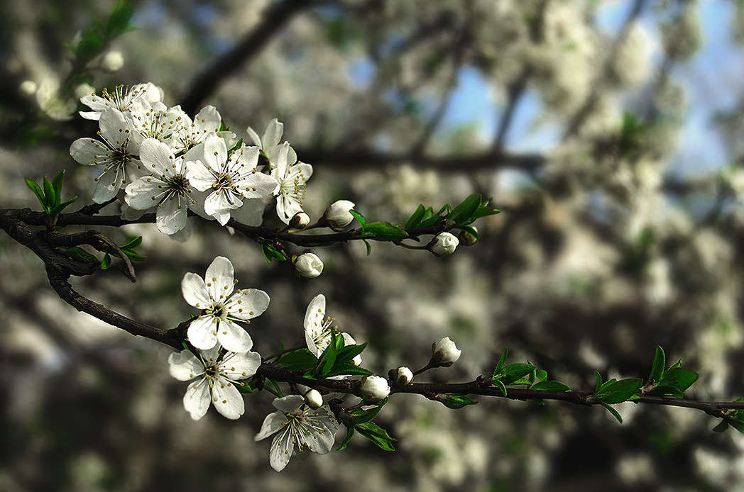 ����� ����� ������ ���������� �� PhotoGeek.ru #������ ��� ������� #���������