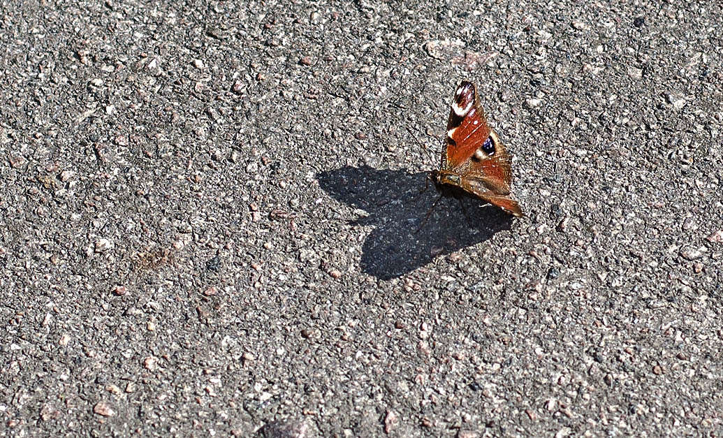 �������..... ����� ������ ���������� �� PhotoGeek.ru #�������� ��� #����� ��� ��� ���������